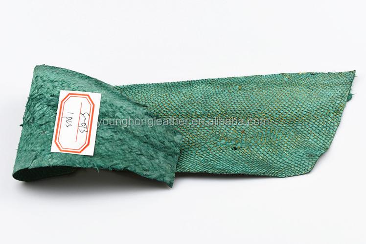 绿色软 salmon 鱼皮皮革与金色的一面为手袋完成